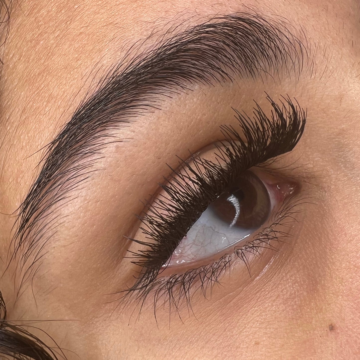 SieSie Magnetic Eyelash Set with Applicator