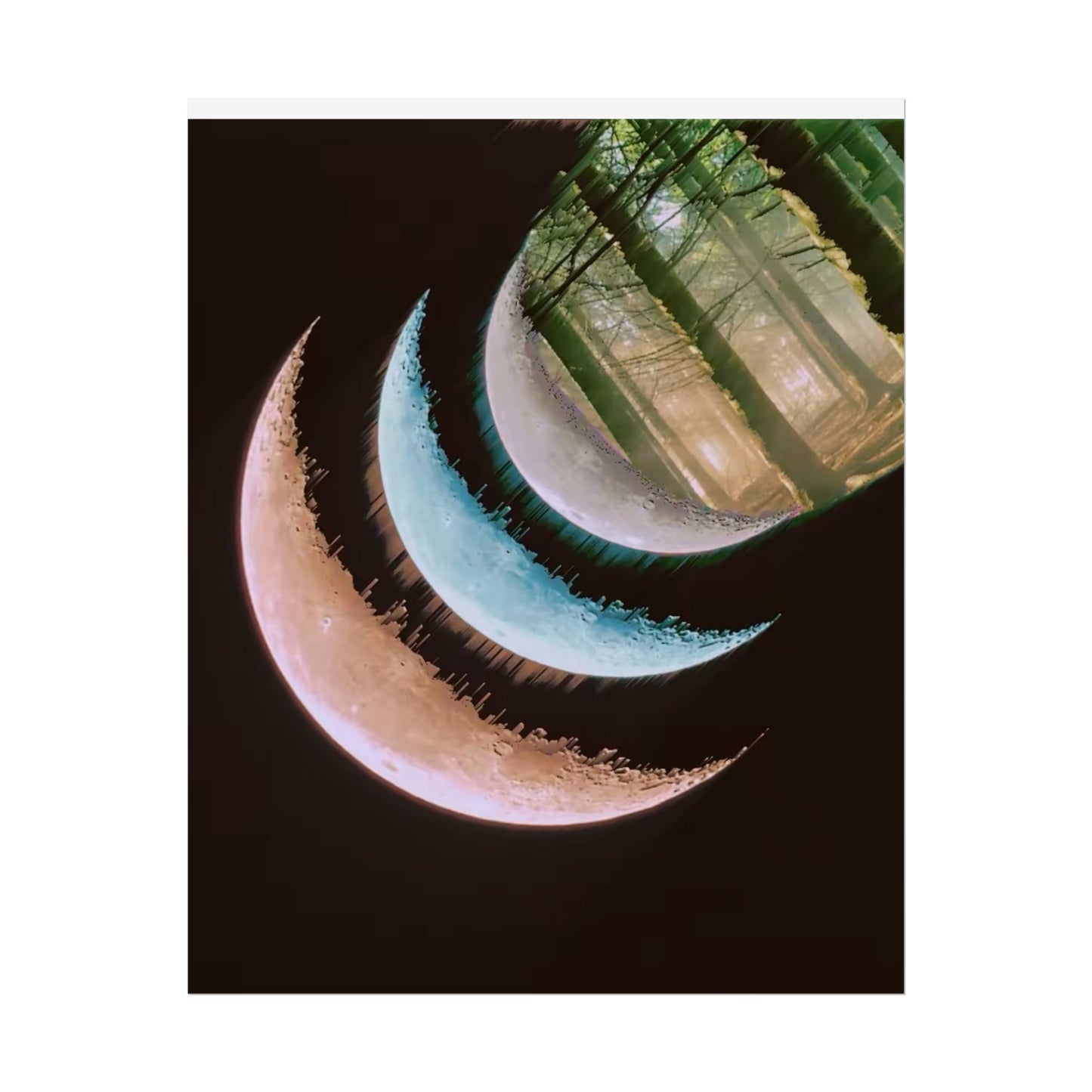 Moon Phases Forest Poster — Celestial Crescent Wall Art