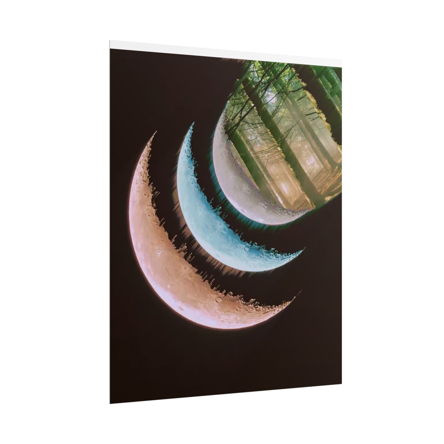 Moon Phases Forest Poster — Celestial Crescent Wall Art
