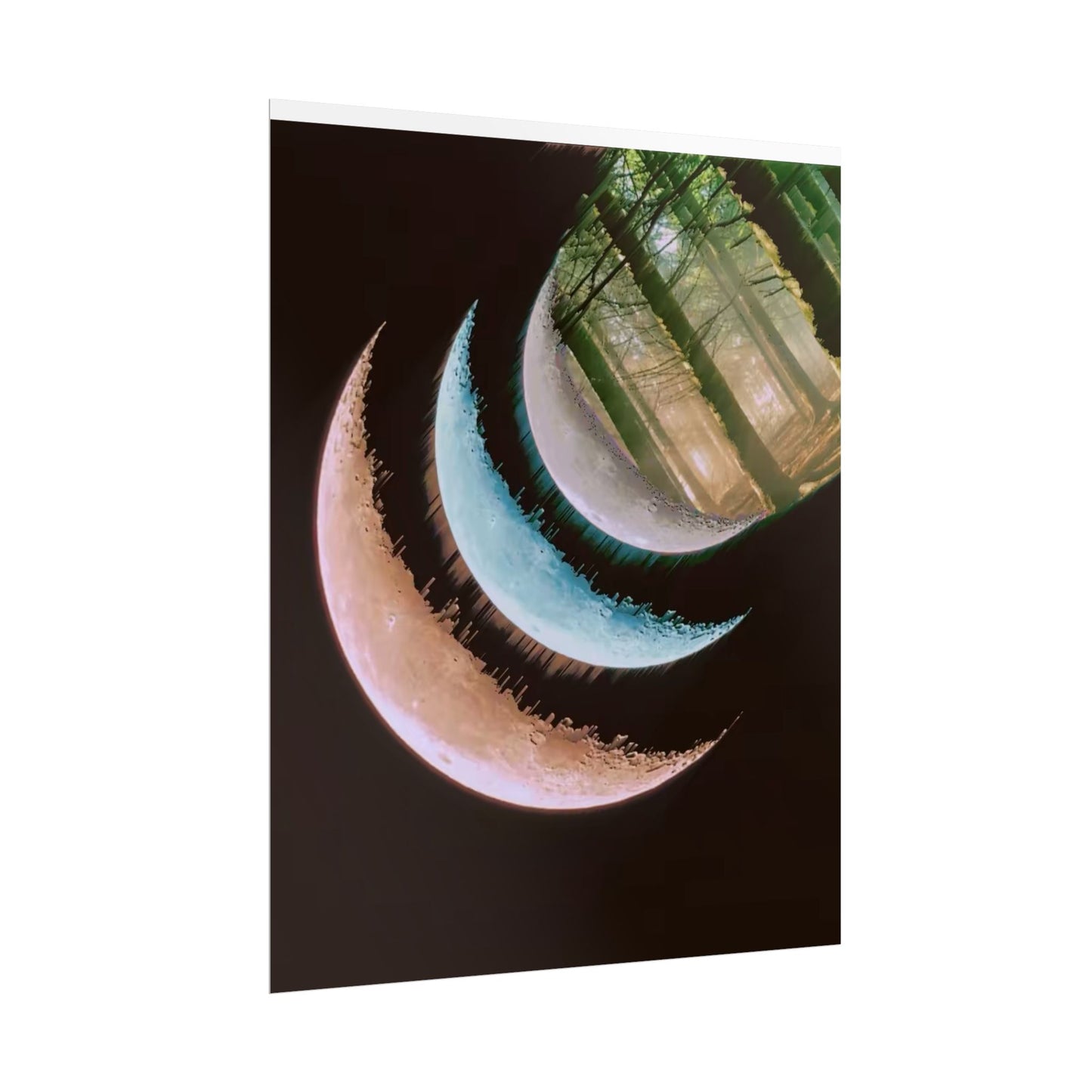 Moon Phases Forest Poster — Celestial Crescent Wall Art